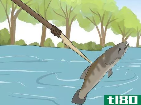 Image titled Catch Fish Without Using a Rod Step 13.jpeg