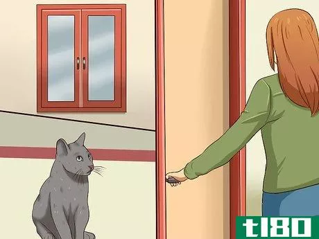 Image titled Catch a Cat Step 6