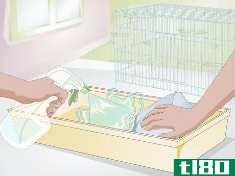 Image titled Care for Your Rabbit After Neutering or Spaying Step 2