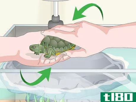 Image titled Care for a Turtle Step 12