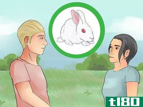 Image titled Catch a Pet Rabbit Step 10