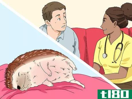 Image titled Care for a Hedgehog with Wobbly Hedgehog Syndrome Step 11