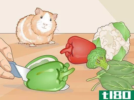 Image titled Care for a Guinea Pig with an Ear Infection Step 14