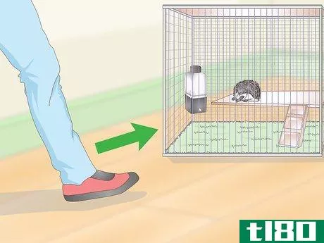Image titled Carry a Hedgehog Step 3