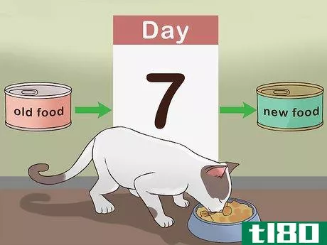 Image titled Change Cat Food Step 3