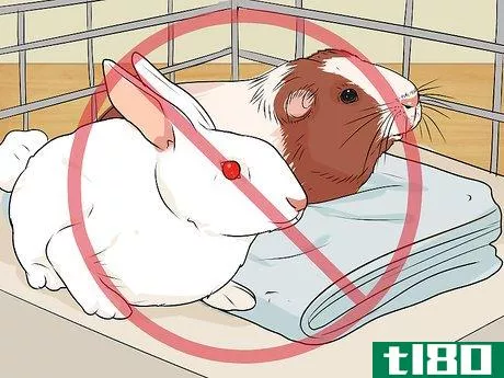 Image titled Care for a Guinea Pig with Pneumonia Step 20