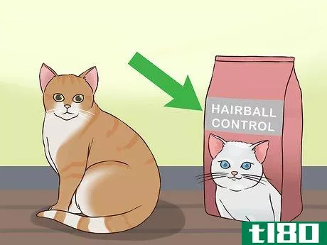 Image titled Change Cat Food Step 11