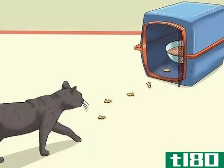 Image titled Catch a Cat Step 9