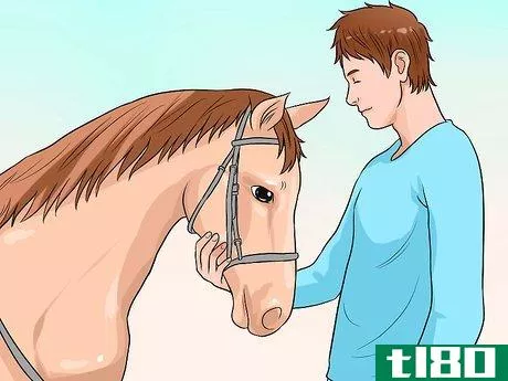 Image titled Calm Down a Spooked Horse Step 14
