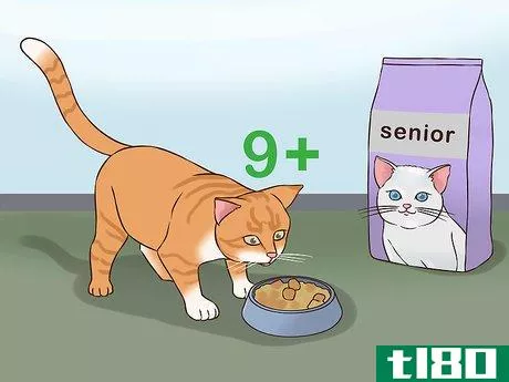 Image titled Change Cat Food Step 12