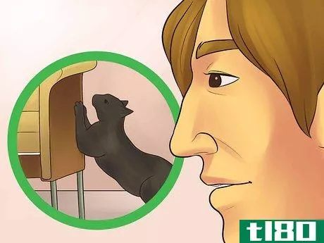 Image titled Catify Your Room Step 12