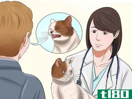 Image titled Care for an FIV Infected Cat Step 10