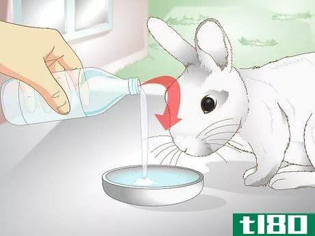 Image titled Care for a Rabbit with GI Stasis Step 13