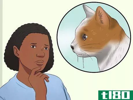 Image titled Care for an FIV Infected Cat Step 14