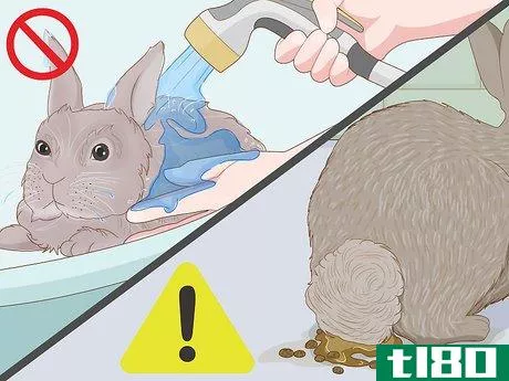 Image titled Care for a New Pet Rabbit Step 22