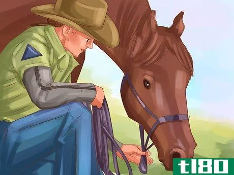 Image titled Keep a Horse Calm While Riding Step 9