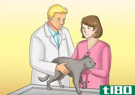 Image titled Care for a Cat with Kidney Failure Step 9