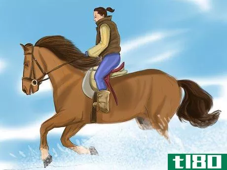 Image titled Care for Your Horse In the Winter Step 13