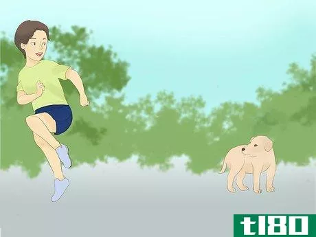 Image titled Catch Your Dog when They Run After Another Dog or Person Step 4