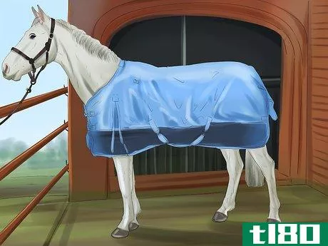 Image titled Care for Your Horse In the Winter Step 1