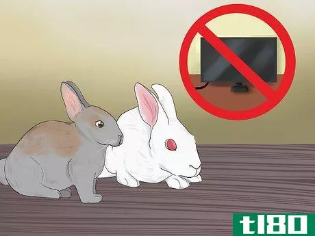 Image titled Catch a Pet Rabbit Step 2