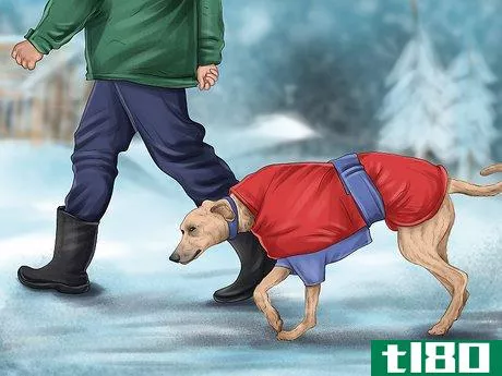 Image titled Care for Your Dog in the Winter Step 10