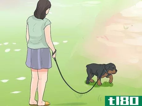 Image titled Care for a Rottweiler Puppy Step 10