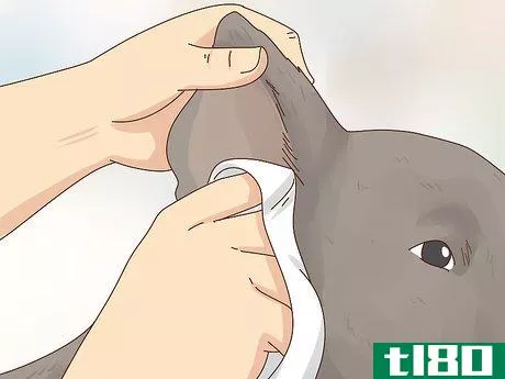 Image titled Care for a Labrador Retriever Step 7