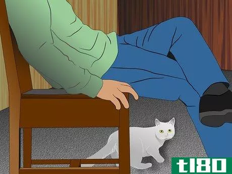 Image titled Care for Physically Abused Cats Step 11