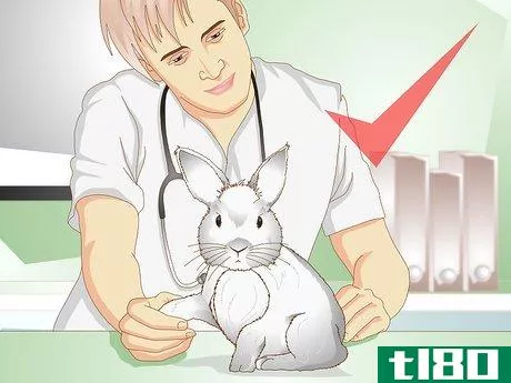Image titled Care for a Rabbit with GI Stasis Step 15