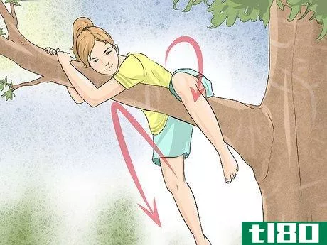 Image titled Free Climb a Tree Step 6