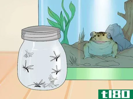 Image titled Care for Northern Cricket Frogs Step 10