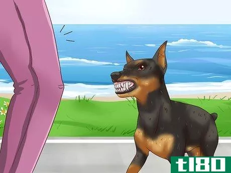 Image titled Care for a Miniature Pinscher Step 3