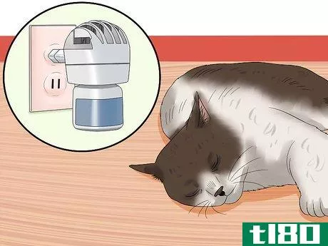 Image titled Care for an FIV Infected Cat Step 11