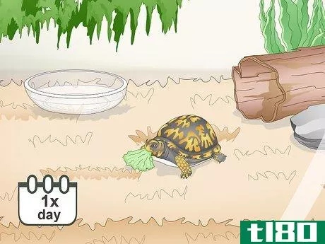 Image titled Care for an Eastern Box Turtle Step 11