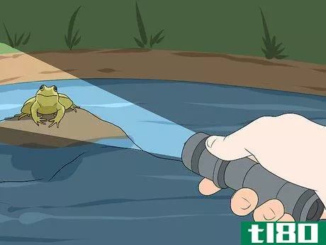 Image titled Catch a Frog Step 13