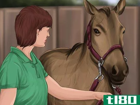 Image titled Care for Your Horse After Riding Step 15