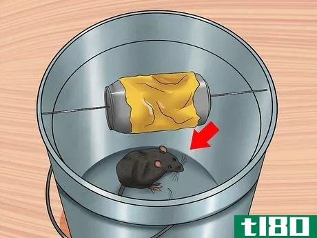 Image titled Catch an Escaped Pet Rat Step 16