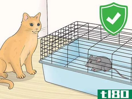 Image titled Care for an Injured Pet Mouse Step 11