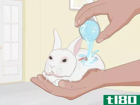 Image titled Care for an Injured Rabbit Step 9