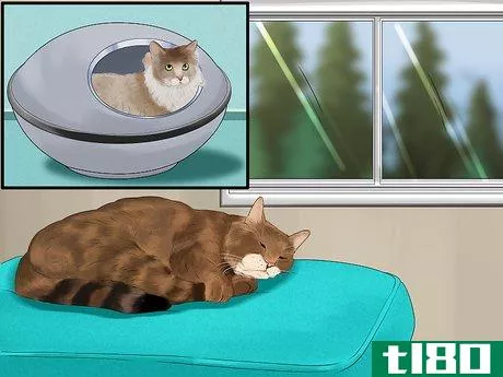 Image titled Catify Your Home for a Senior Cat Step 2