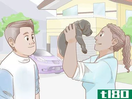 Image titled Care for a Dog Before, During, and After Pregnancy Step 18