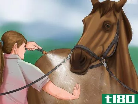 Image titled Care for Your Horse In the Winter Step 22