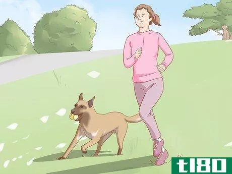 Image titled Care for a Belgian Malinois Step 12