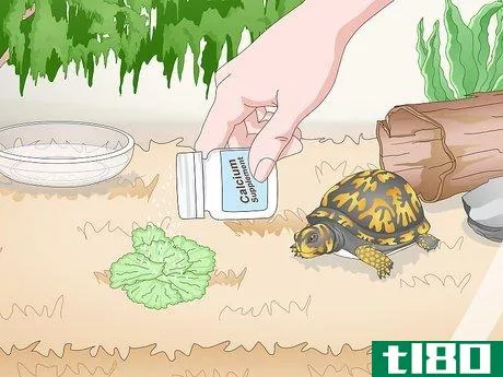 Image titled Care for an Eastern Box Turtle Step 14