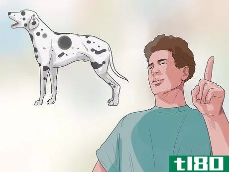 Image titled Care for a Dalmatian Step 18