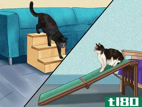 Image titled Catify Your Home for a Senior Cat Step 4