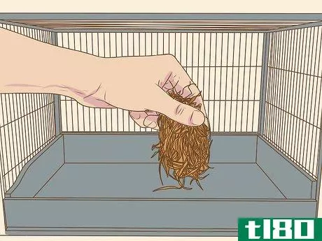 Image titled Clean a Chinchilla Cage Step 20