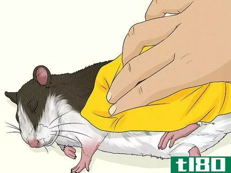 Image titled Care for a Rat That Had a Stroke Step 6