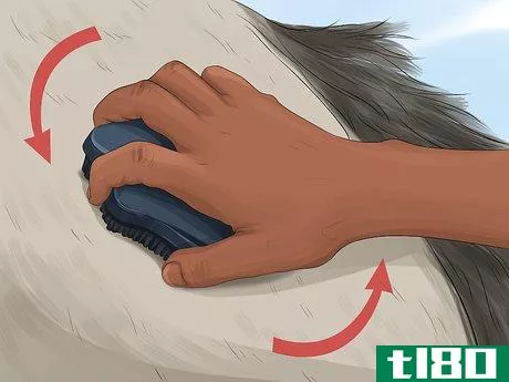 Image titled Care for Your Horse After Riding Step 8